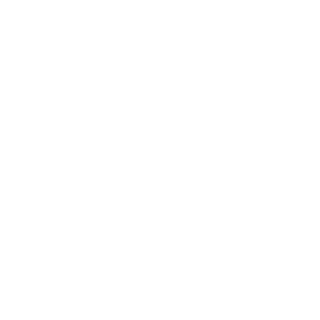 T-Stretch logo