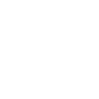 Weeshop logo